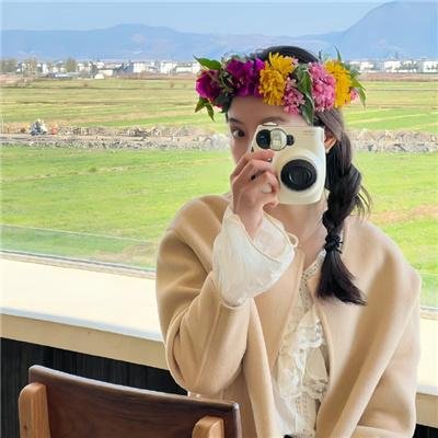 挎斗摩托车里的狗